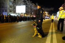 Jandarm cu caine, in Piata Universitatii