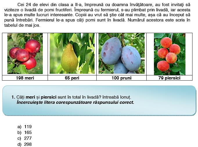 Fragment din subiectele la evaluarea la Matematica, clasa a II-a, Foto: edu.ro