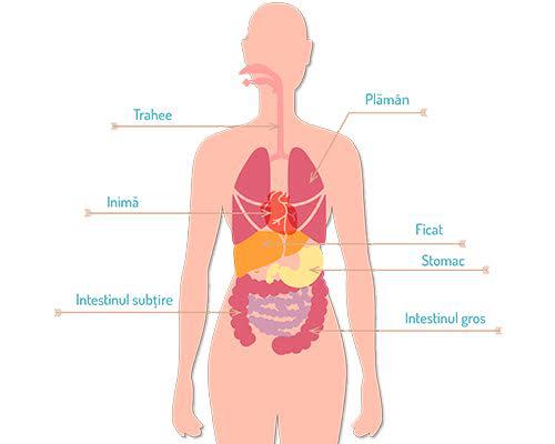 Importanta preventiei- medicina interna, Foto: Hotnews