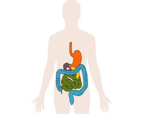 Controlul de rutina la gastroenterolog, Foto: Hotnews