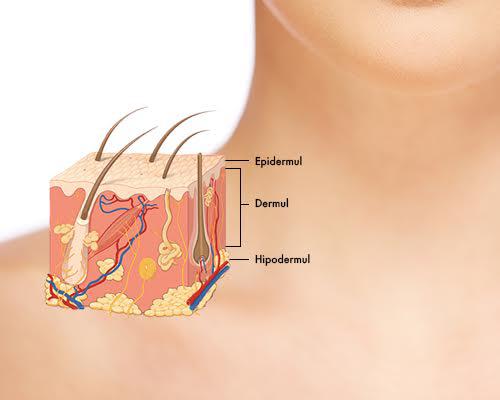 De ce sunt importante controalele dermatologice de rutina, Foto: Hotnews