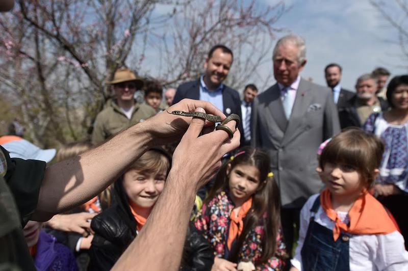 Printul Charles in Delta Vacaresti, Foto: Agerpres / Grigore Popescu