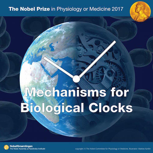 Nobel Medicina 2017, Foto: nobelprize.org