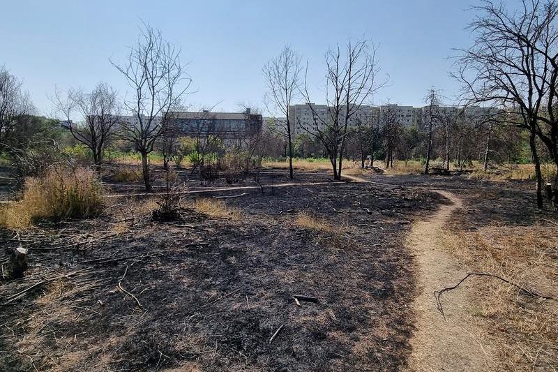 Incendiu pe bucata retrocedată în IOR, Foto: HotNews/Catiusa Ivanov