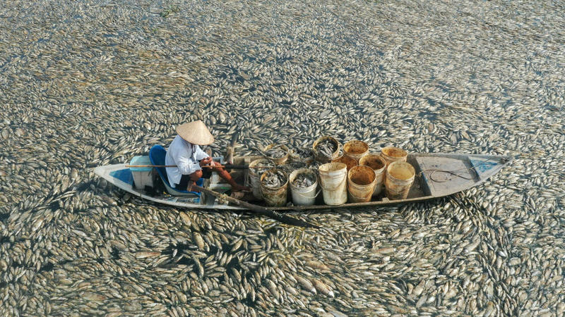 Vietnam, Foto: Stirile ProTV