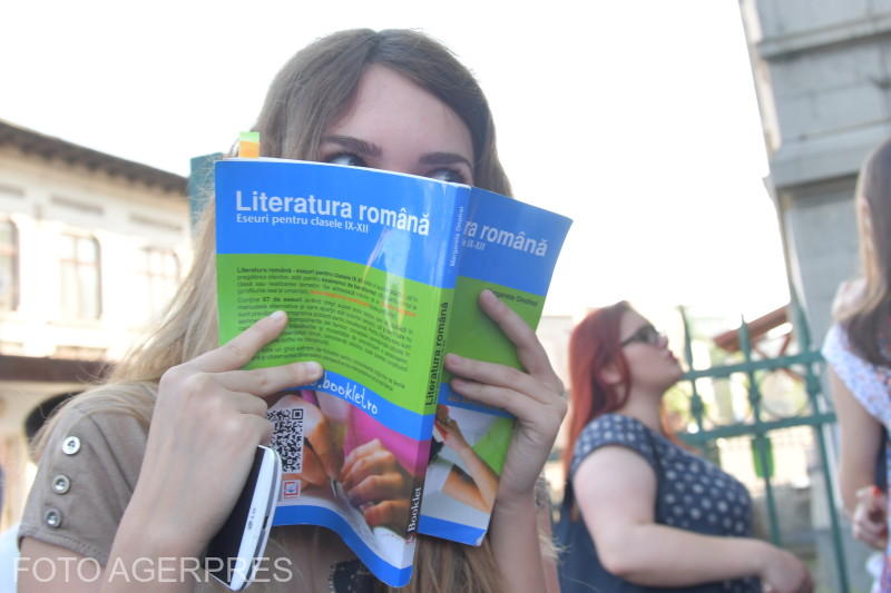 Modele subiecte BAC 2024 la Limba și literatura română. Tipuri de