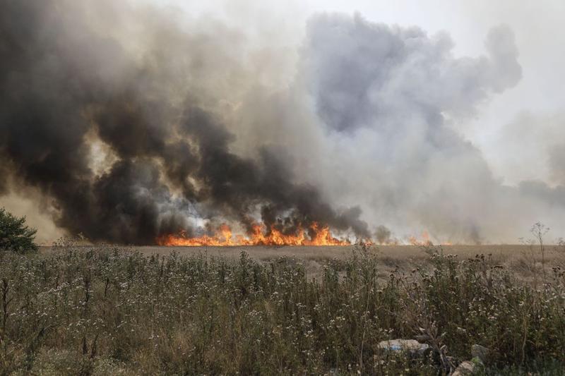 Incendiu de vegetatie, Foto: Inquam Photos / George Călin