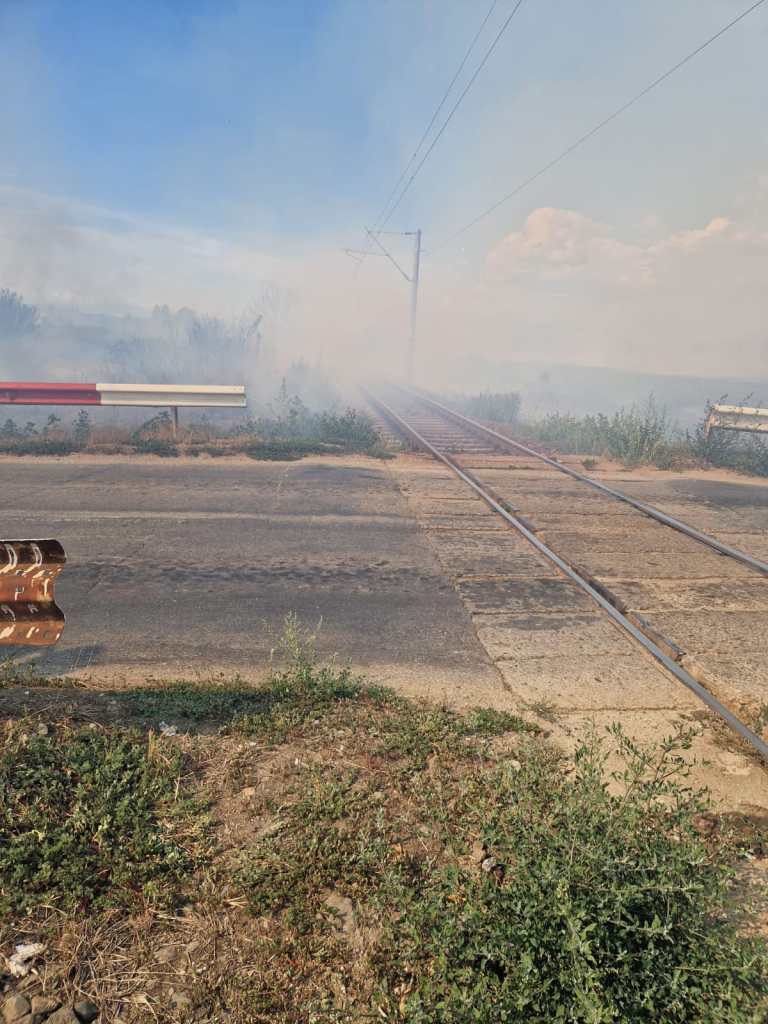 Imagini de la incendiile din zona CF Cărbunești - Jupânești / FOTO CFR