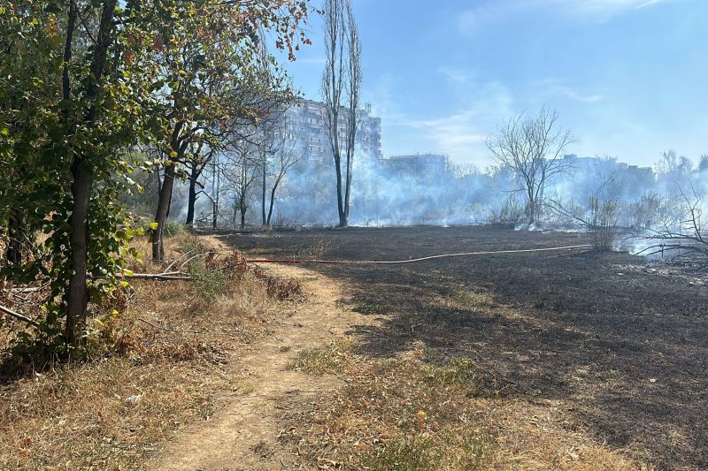 VIDEO Incendiu puternic în Parcul IOR din Capitală. Fumul a ajuns până în stația de metrou Titan